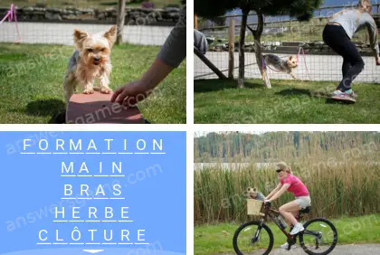 Polysyllable Niveau 22 Puzzle 8 Solution