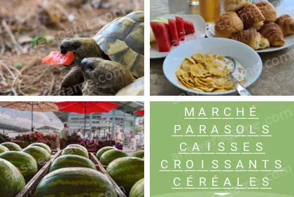 Polysyllable Niveau 23 Puzzle 3 Solution