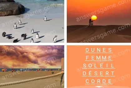 Polysyllable Niveau 24 Puzzle 8 Solution