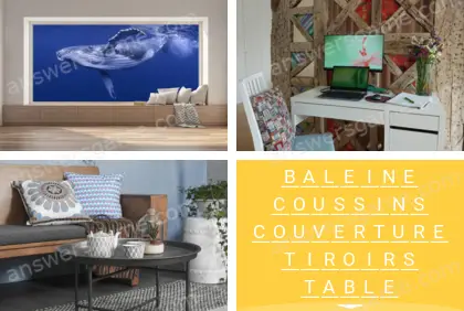 Polysyllable Niveau 24 Puzzle 10 Solution