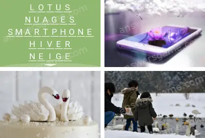 Polysyllable Niveau 24 Puzzle 3 Solution