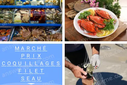 Polysyllable Niveau 25 Puzzle 5 Solution