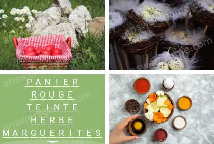 Polysyllable Niveau 25 Puzzle 8 Solution