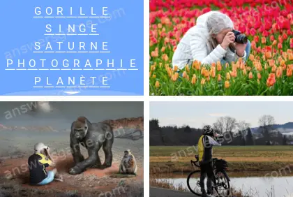 Polysyllable Niveau 26 Puzzle 8 Solution