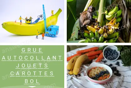 Polysyllable Niveau 26 Puzzle 7 Solution