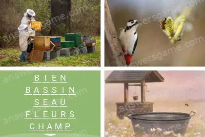 Polysyllable Niveau 27 Puzzle 8 Solution