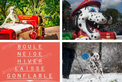 Polysyllable Niveau 27 Puzzle 10 Solution