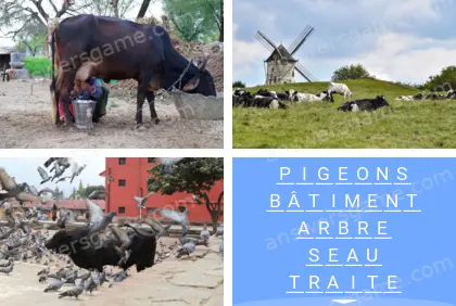 Polysyllable Niveau 29 Puzzle 3 Solution