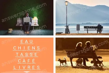 Polysyllable Niveau 29 Puzzle 8 Solution