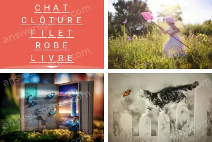 Polysyllable Niveau 2 Puzzle 2 Solution