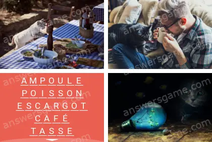 Polysyllable Niveau 2 Puzzle 9 Solution