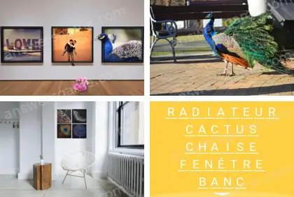 Polysyllable Niveau 30 Puzzle 6 Solution