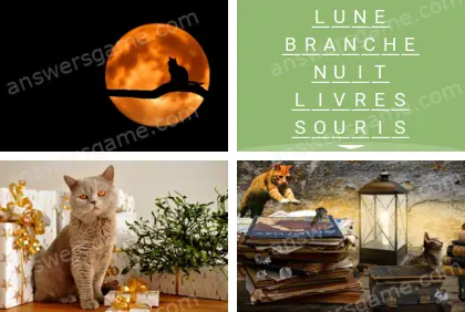 Polysyllable Niveau 5 Puzzle 9 Solution