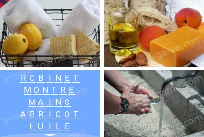 Polysyllable Niveau 5 Puzzle 10 Solution