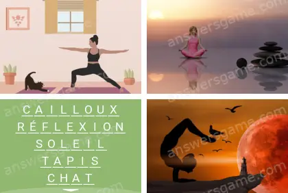 Polysyllable Niveau 6 Puzzle 8 Solution