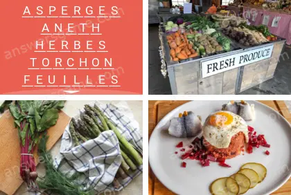 Polysyllable Niveau 7 Puzzle 4 Solution