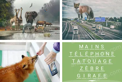 Polysyllable Niveau 8 Puzzle 4 Solution