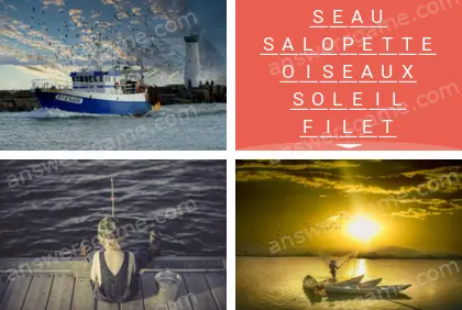 Polysyllable Niveau 8 Puzzle 7 Solution