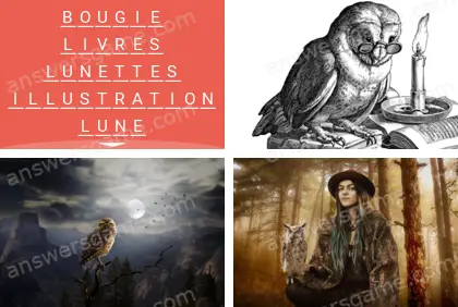 Polysyllable Niveau 9 Puzzle 9 Solution