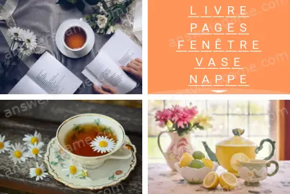 Polysyllable Niveau 9 Puzzle 6 Solution