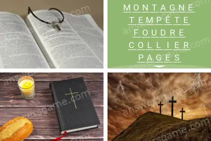 Polysyllable Niveau 9 Puzzle 5 Solution