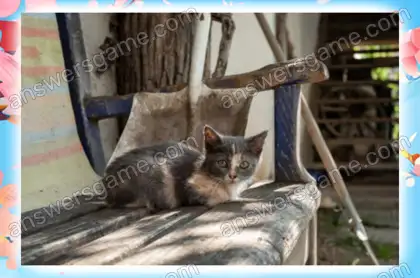 Lösung des Spiels Chaos im Frühling Ebene 10 Puzzle 7