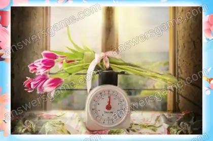 Lösung des Spiels Chaos im Frühling Ebene 11 Puzzle 8