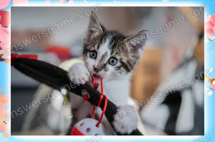 Lösung des Spiels Chaos im Frühling Ebene 13 Puzzle 4