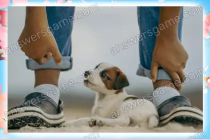 Lösung des Spiels Chaos im Frühling Ebene 22 Puzzle 2