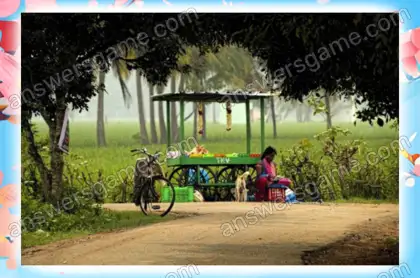 Lösung des Spiels Chaos im Frühling Ebene 25 Puzzle 3