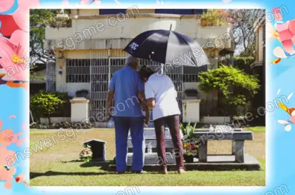 Lösung des Spiels Chaos im Frühling Ebene 3 Puzzle 4