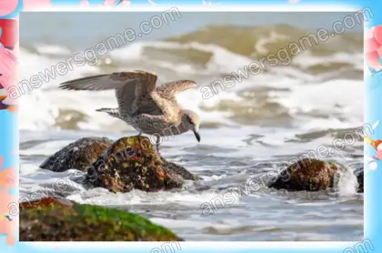 Lösung des Spiels Chaos im Frühling Ebene 4 Puzzle 5