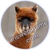 Trivia Spin Level 11 Alpaca