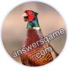 Trivia Spin Level 11 Pheasant