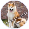 Trivia Spin Level 23 Akita Inu