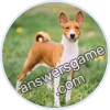 Trivia Spin Level 23 Basenji