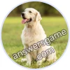 Trivia Spin Level 23 Retriever