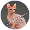 Trivia Spin Level 35 Sphynx