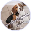 Trivia Spin Level 4 Beagle