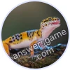 Trivia Spin Level 40 Leopard gecko
