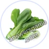 Trivia Spin Level 45 Bok choy