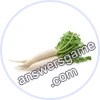 Trivia Spin Level 45 Daikon