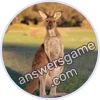 Trivia Spin Level 56 Kangaroo