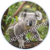 Trivia Spin Level 56 Koala