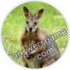 Trivia Spin Level 56 Pademelon