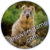 Trivia Spin Level 56 Quokka