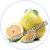 Trivia Spin Level 6 Pomelo