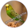 Trivia Spin Level 64 Budgerigar