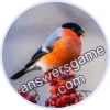 Trivia Spin Level 73 Bullfinch