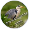 Trivia Spin Level 73 Heron